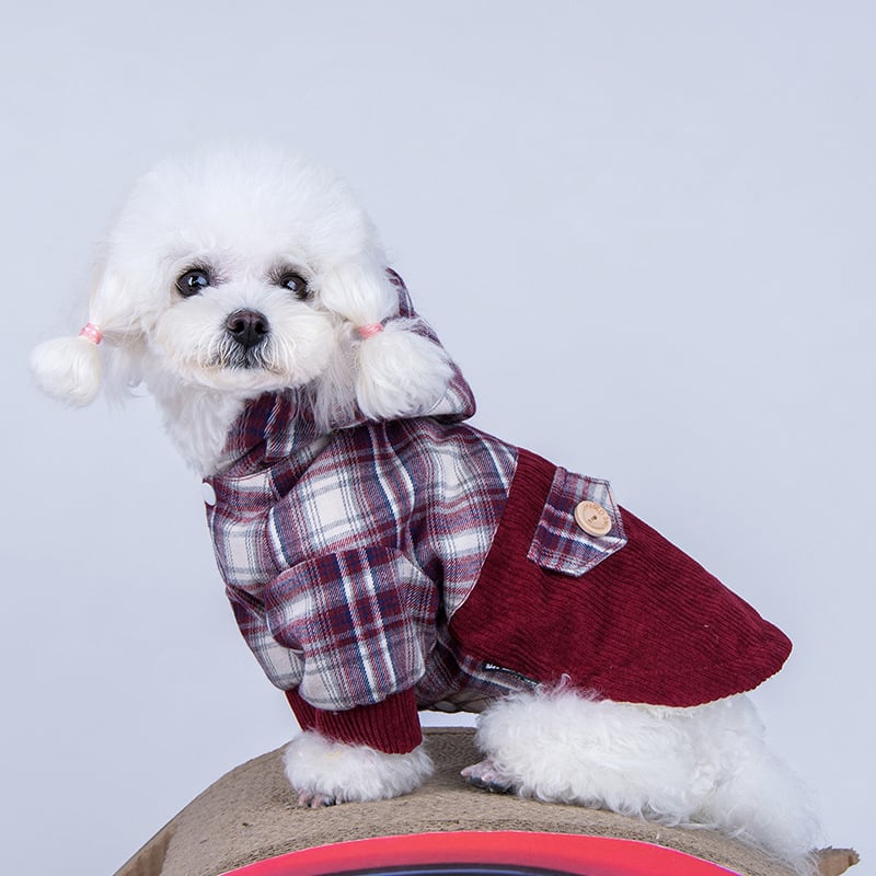Teddy VIP Pomeranian Cashmere Hoodie Coat — Warm Plush Winter Jacket for Small Dogs, Navy Blue & Linen Gray, Sizes S–XL