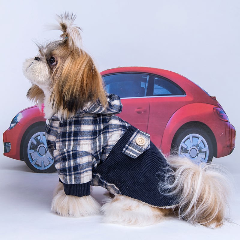 Teddy VIP Pomeranian Cashmere Hoodie Coat — Warm Plush Winter Jacket for Small Dogs, Navy Blue & Linen Gray, Sizes S–XL